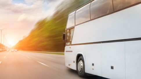 bus