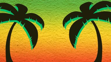 palm trees
