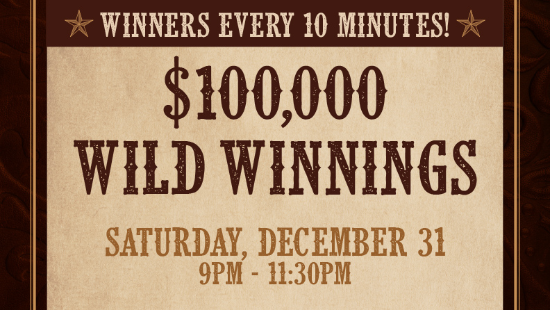 $100,000 wild winnings promotion