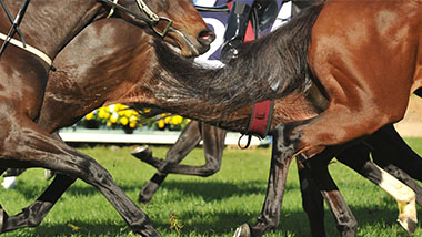 picture of the kentucky derby